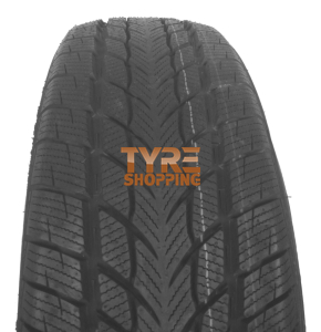 Pneumatici Auto Invernali DAVANTI WINTOU 195/55 R16 91 H XL