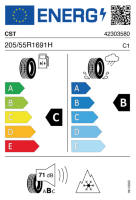 Pneumatici Auto Invernali CST WCP1 205/55 R16 91 H - immagine 2