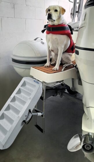 Scaletta per cani Scaletta per cani - 49.538.20 Osculati Scalette