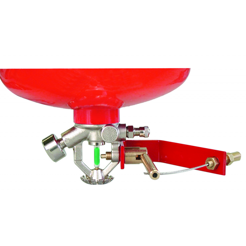 Accessori Estintori COMANDO MANUALE A DISTANZA Anaf (acq.min. unità) - immagine 2