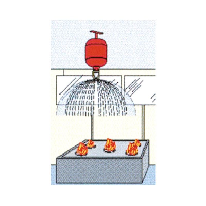 Estintori ESTINTORE AUTOMATICO KG.2 (acq.min. unità) - immagine 2