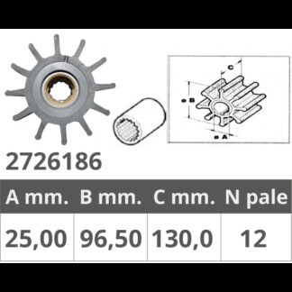Giranti GIRANTE POMPE JOHNSON 09-0820B Finnord (acq.min. unità)