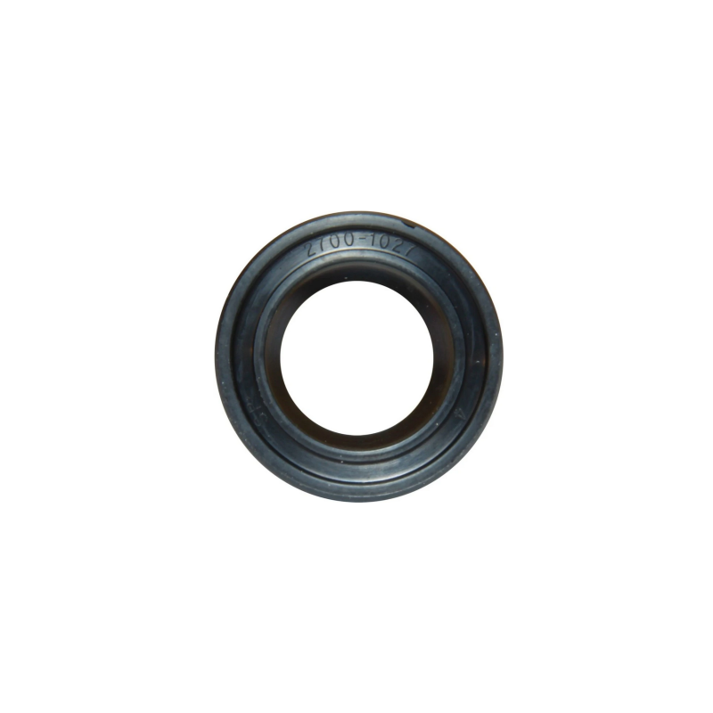 Accessori per Pompe TENUTA SP 2700-1027B Jabsco (acq.min. unità)