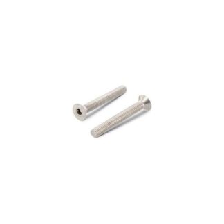 Viteria 10642 TSPCE A4 M8X60 CONF.10 (acq.min. unità)