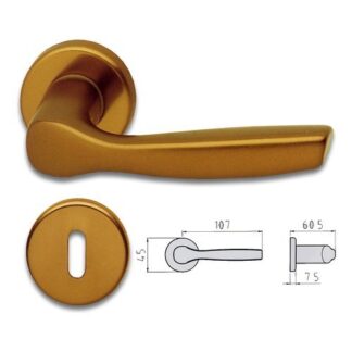Maniglie porta Maniglie porta coppia con rosetta con bocchetta Ghidini 77400281004 GA (ord.min.1.00 unità)