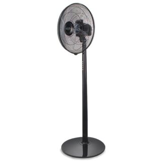 Ventilatore Ventilatore Argo 398200033 STANDY EVO Black (ord.min.1.00 unità)