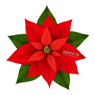 Set regalo Amovita Veravita Stella di Natale 100 ml + 50 ml Idee regalo prodotti da bagno (ord.min.1.00unità)