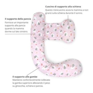 Cuscino gravidanza Cuscino gravidanza Baby Idea 5801 FF POLLY con supporto lombare Fantas (ord.min.1.00 unità)