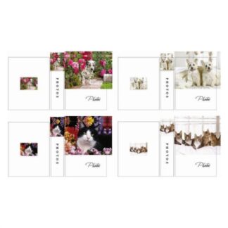 Album fotografico Album fotografico Picoglass 5005511 CUCCIOLI Assortito (ord.min.1.00 unità)
