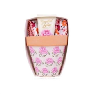Crema mani Accentra set regalo con vaso fiori Creme mani (ord.min.1.00unità)