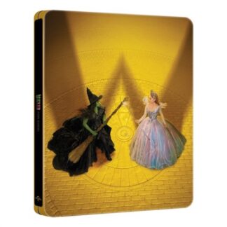 Film Blu Ray 4K B4K 1192770 Wicked -Parte 2 (SB+brd) - 1192770 (ord.min.1.00 unità)