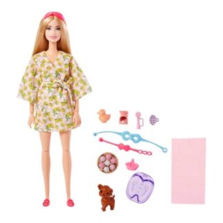 Bambola Bambola Mattel GKH73 BARBIE Wellness Assortito (ord.min.1.00 unità)