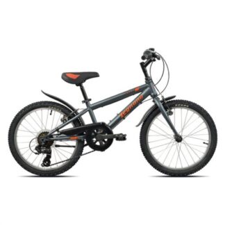 Bicicletta Bicicletta Legnano 26L630 HAPPY Grigio e Arancio (ord.min.1.00 unità)