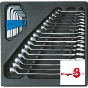 MODULI CON UTENSILI PER CARRELLI A TORRE 1000G 2 MODULI CON UTENSILI moduls with tools for tower-trolleys Orig. Gedore