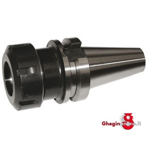 MANDRINI PORTA-PINZE ELASTICHE TIPO ER A NORMA MAS-BT; TERMINALE ATT. CON FILETTO INTERNO 1560GC 2 MANDRINI BT 40 MAS-BT ER pinchers holder chucks with locking collars Prod. SCU