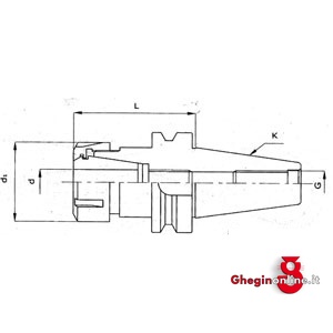 MANDRINI PORTA-PINZE ELASTICHE TIPO ER A NORMA MAS-BT; TERMINALE ATT. CON FILETTO INTERNO 1560GC 0 MANDRINI BT 40 MAS-BT ER pinchers holder chucks with locking collars Prod. SCU - immagine 2