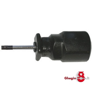 GIRAVITI TORX CON IMPUGNATURA PLASTICA 1970GRV 9 GIRAVITI IMP. PLASTICA screwdrivers Prod. SCU