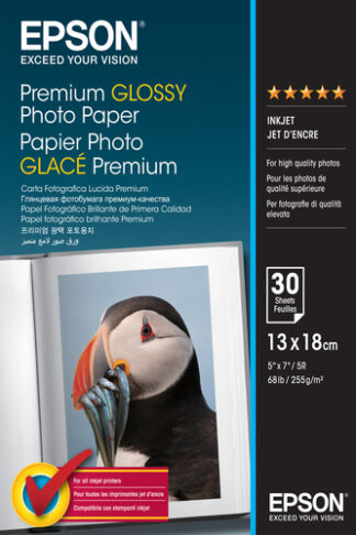 Carta fotografica Carta fotografica Epson C13S042154 Premium Glossy Photo Paper (ord.min.1.00 unità)