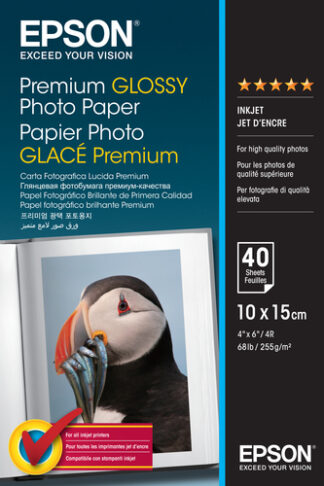 Carta fotografica Carta fotografica Epson C13S042153 Premium Glossy Photo Paper (ord.min.1.00 unità)