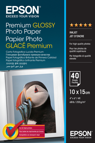 Carta fotografica Carta fotografica Epson C13S042153 Premium Glossy Photo Paper (ord.min.1.00 unità)