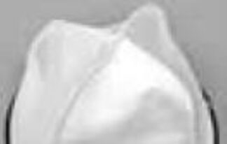 Filtro aspirapolvere Filtro aspirapolvere Lavor 10001 08186 Panno White (ord.min.1.00 unità)