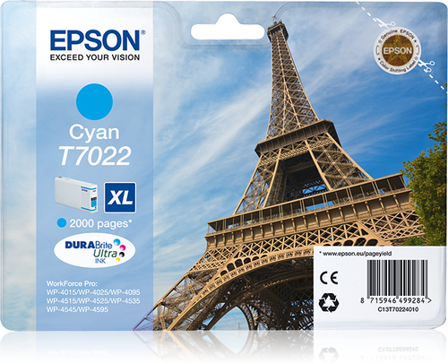 Cartuccia stampante Cartuccia stampante Epson C13T70224010 DURABRITE ULTRA T7022 XL (ord.min.1.00 unità)
