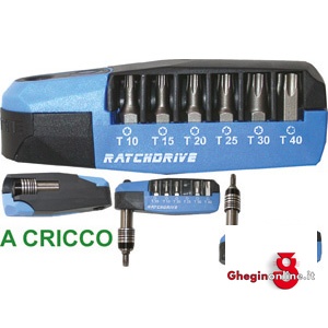 BITS ATTACCO 1/4" RATCHDRIVE IN ASSORTIMENTO 2015GE ASS.BIT 1/4 RACHDRIVE screwdrivers bits sets Orig. Witte
