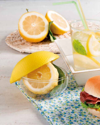 Salvalimenti Salvalimenti Snips 000189 SALVAFRESCHEZZA Salva Limone (ord.min.1.00 unità)