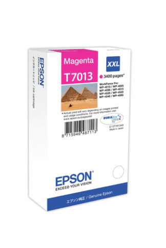 Cartuccia stampante Cartuccia stampante Epson C13T70134010 DURABRITE T7013 XXL (ord.min.1.00 unità)