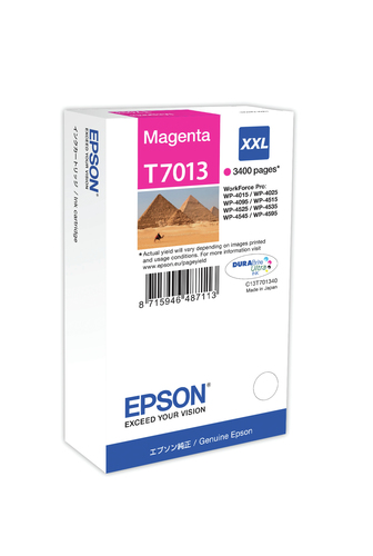 Cartuccia stampante Cartuccia stampante Epson C13T70134010 DURABRITE T7013 XXL (ord.min.1.00 unità)