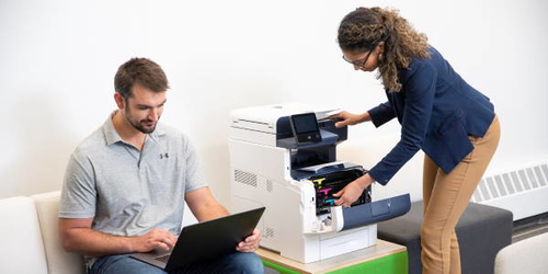 Tamburo stampante Tamburo stampante Xerox 008R13065 Black (ord.min.1.00 unità)
