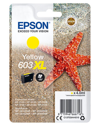 Cartuccia stampante Cartuccia stampante Epson C13T03A44010 603 XL (ord.min.1.00 unità)