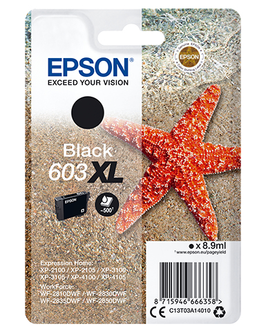 Cartuccia stampante Cartuccia stampante Epson C13T03A14020 603 XL (ord.min.1.00 unità)