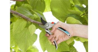 Forbice potatura Forbice potatura Gardena 8906 20 PREMIUM Bypass (ord.min.1.00 unità)