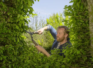 Forbice tagliasiepe Forbice tagliasiepi Gardena 12300 20 NATURECUT (ord.min.1.00 unità)