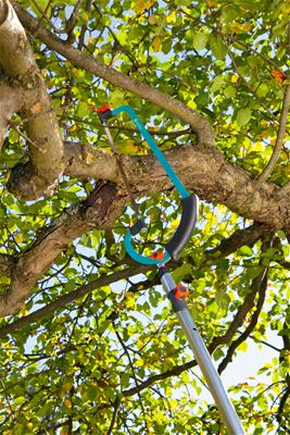 Manico attrezzo Manico telescopico per accessori combi Gardena 3721 20 COMBISYSTEM (ord.min.1.00 unità)