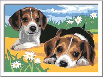 Set per dipingere Set per dipingere Ravensburger 28939 CREART Cuccioli Jack Russel (ord.min.1.00 unità)