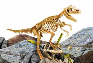 Gioco educativo Lisciani 81103 SUPERKIT T Rex Educativo (ord.min.1.00unità)