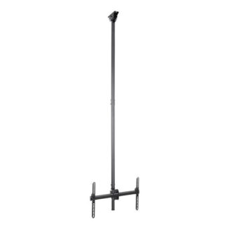 Supporto monitor TV soffitto Supporto monitor TV soffitto Startech.Com FPCEILPTBLP Black (ord.min.1.00 unità)