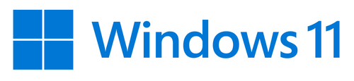 Software Software Microsoft FQC 10538 Windows 11 Professional (ord.min.1.00 unità)