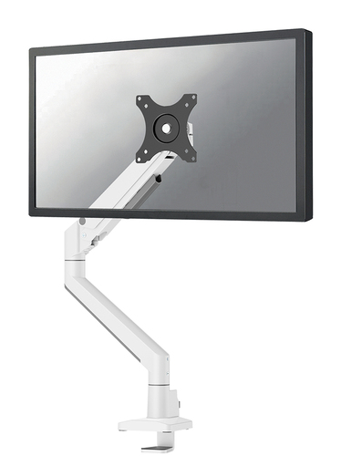 Supporto monitor TV scrivania Supporto monitor TV scrivania Neomounts DS70 250WH1 NEXT Slim White (ord.min.1.00 unità)