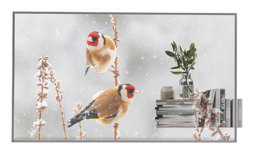 Display professionale Display professionale Lg 55EW5P M AEU Transparent OLED Signage (ord.min.1.00 unità)