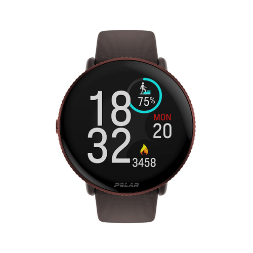 Smartwatch Smartwatch Polar 900110028 IGNITE 3 Titanium Silver e Brown (ord.min.1.00 unità)
