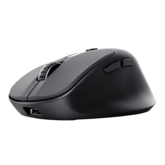 Mouse Mouse Trust 25991 ZEVO Fast Charge Black (ord.min.1.00 unità)