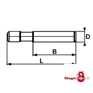 PERNI FILETTATI DIN 6379 2829E 10 100 PERNI FILETT.-DIN 6379 clamping devices Prod. SCU - immagine 2