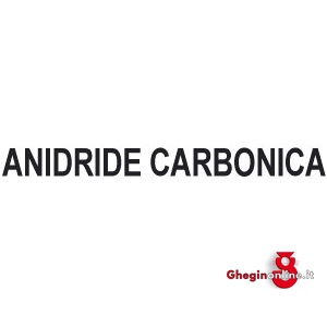 RIDUTTORI PER ANIDRIDE CARBONICA 3140GT RIDUTTORIxANIDRIDE C. carbon dioxide pressure regulators Prod. SCU - immagine 2