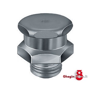INGRASSATORI TESTA PIANA CON ESAGONO DOPPIO 3424GW 5 INGRASSATORI T-PIANA fittings Prod. SCU