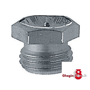 INGRASSATORI TESTA CONCAVA 3424GZ 5 INGRASSATORI T-CONCAVA fittings Orig. Samoa-Hallbauer