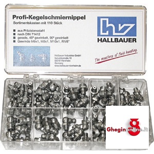 ASSORTIMENTI INGRASSATORI 3424GZ 110 ASSORTIM. INGRASSATORI fittings Orig. Samoa-Hallbauer