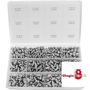 ASSORTIMENTI INGRASSATORI 475 PZ. 3424GZ 475 ASSORTIM. INGRASSATORI fittings Orig. Samoa-Hallbauer